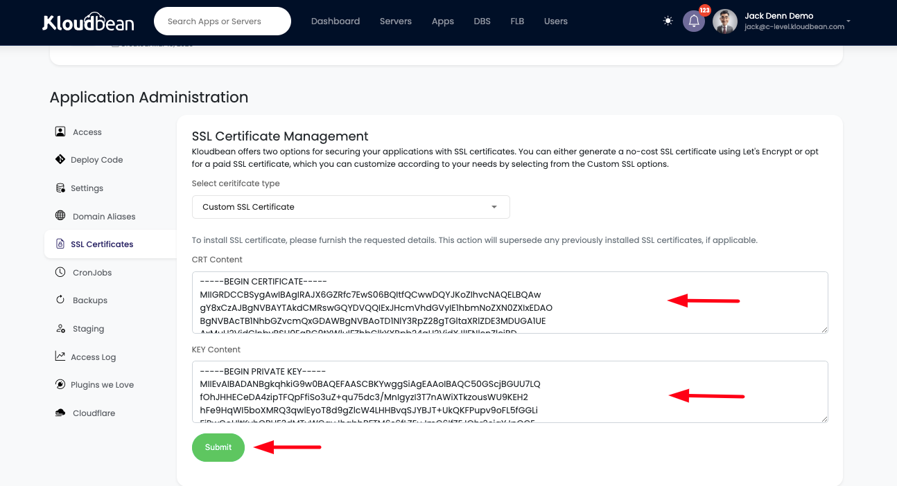 Demonstration on installing custom certificates on application domain.