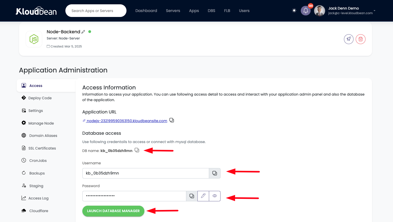 Demonstration on accessing Application Database credentials.