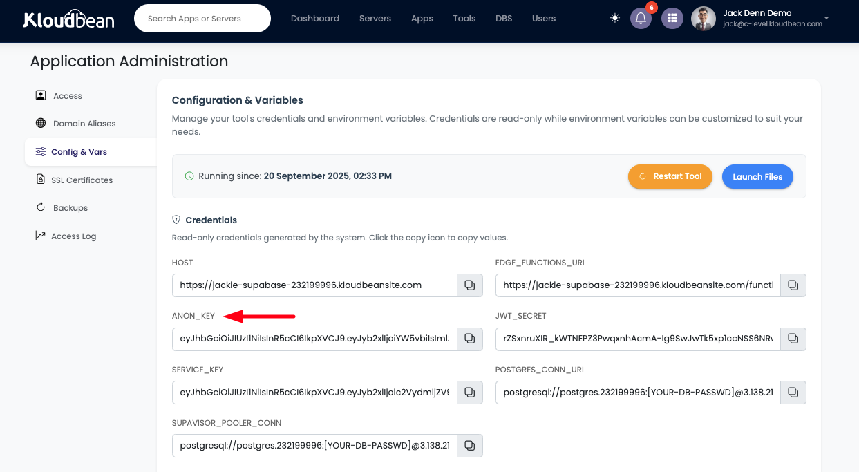 Demonstration on accessing supabase ANON key.