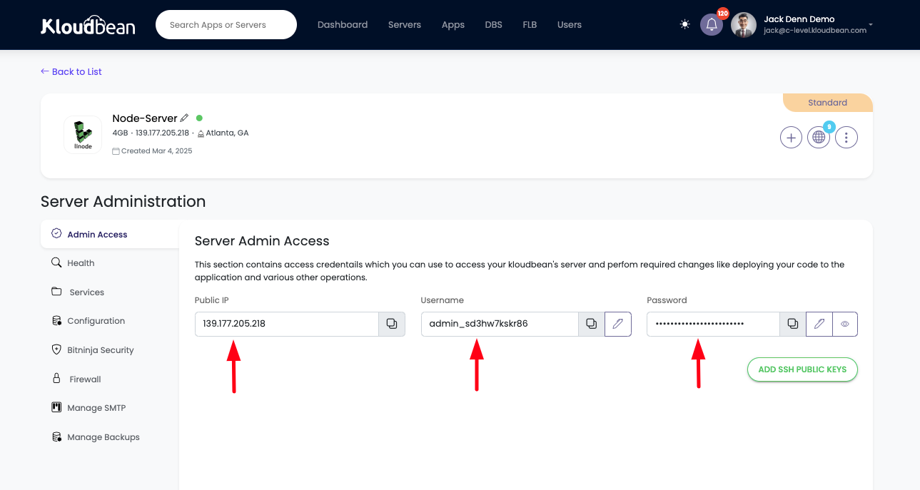 Demonstration on accessing server SSH/SFTP credentials.