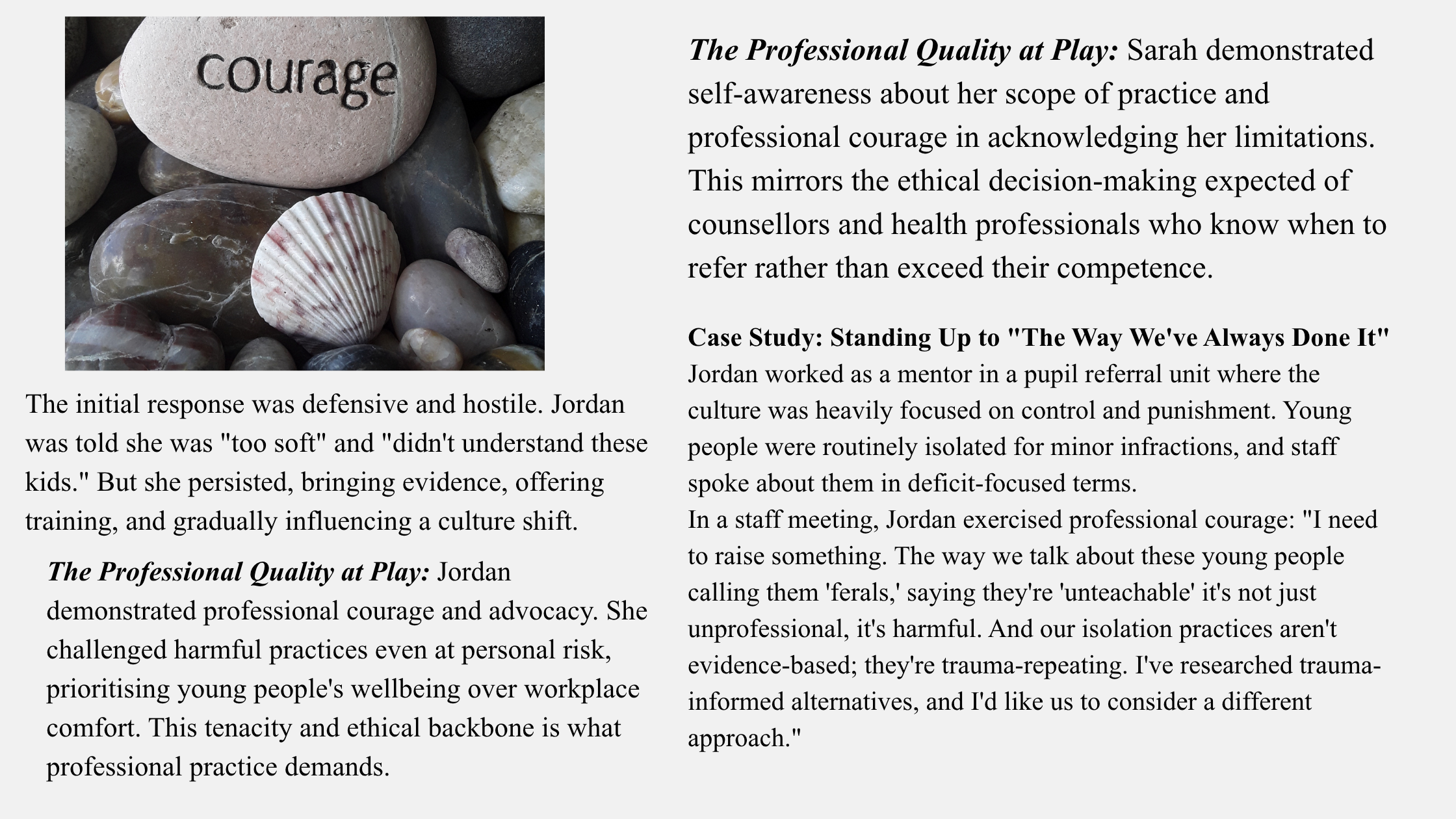 ELEVATING YOUTH MENTORING