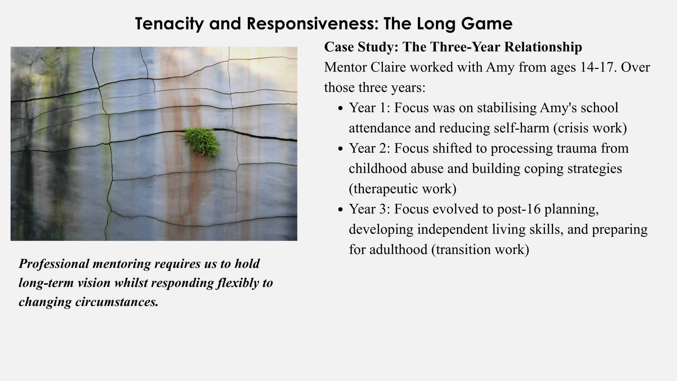 ELEVATING YOUTH MENTORING